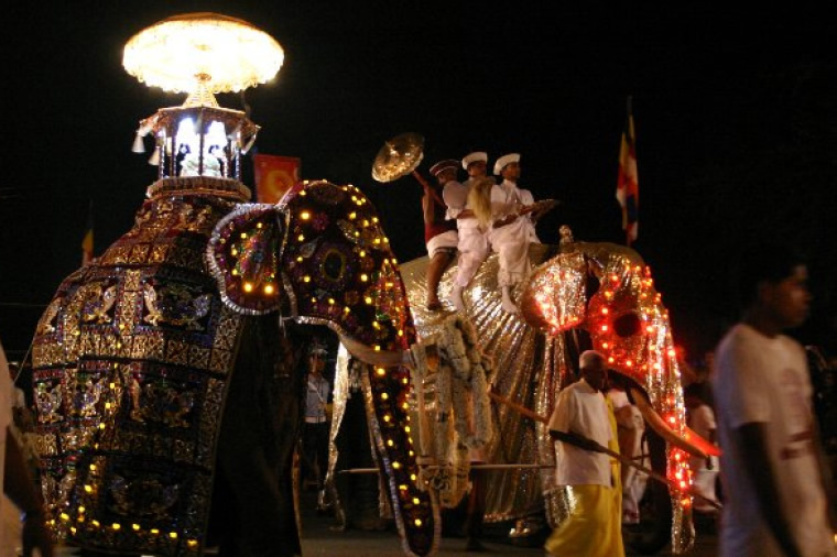 ペラヘラ祭りの象